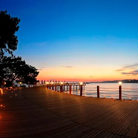 ومي ديلوكس - حلال شامل كليًا أفسالاّر