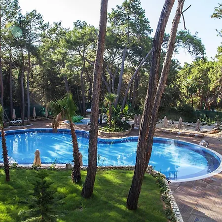 Wome Deluxe Avsallar